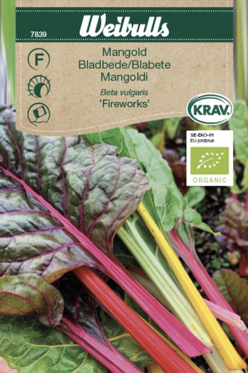 Bladbede 'Fireworks' ØKO