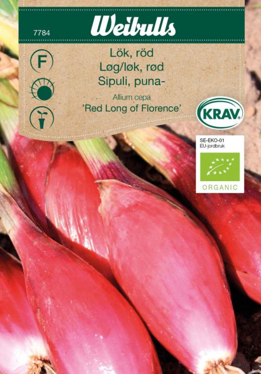 Løg, rød 'Red Long of Florence' ØKO