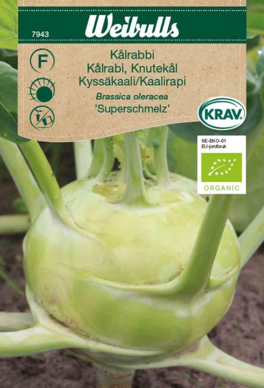 Kålrabi 'Superschmelz' ØKO