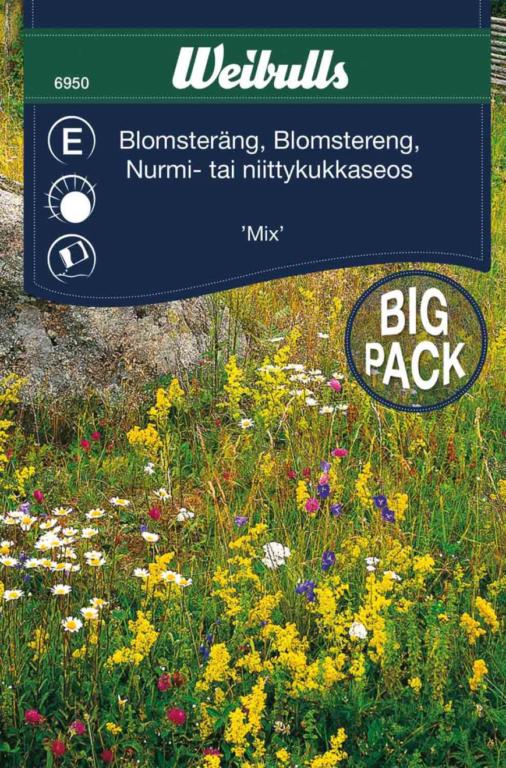 Blomsterengblanding storpotion 'Mix'