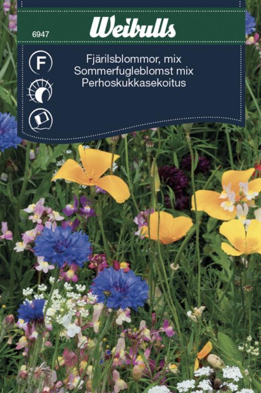 Sommerfugleblomst 'Mix'