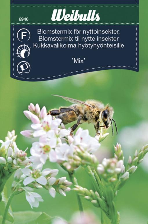Blomster mix til insekter 'Mix'