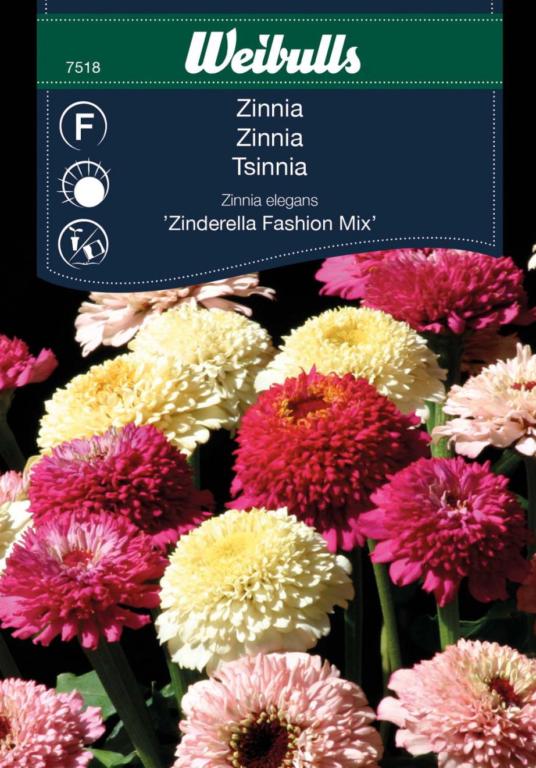 Zinnia 'Zinderella Fashion Mix'