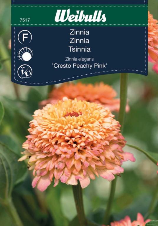 Zinnia 'Cresto Peachy Pink'