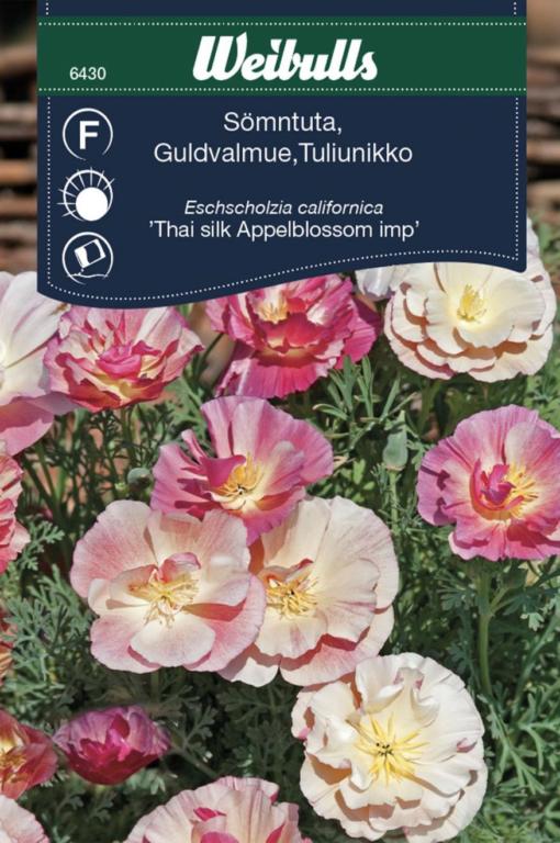 Guldvalmue 'Thai silk Appleblossom imp'
