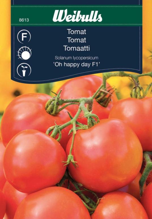 Tomat 'Oh happy day F1'
