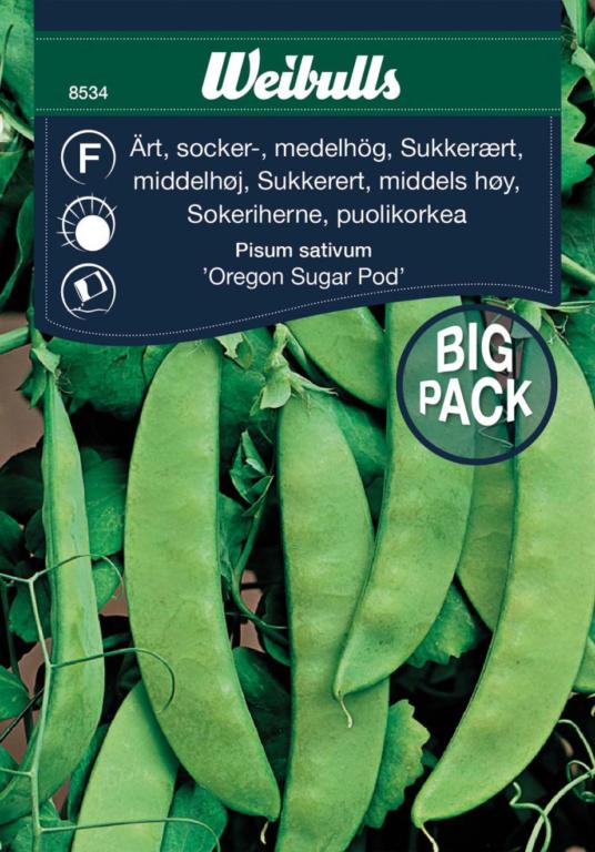 Ært sukker 'Oregon sugar pod'