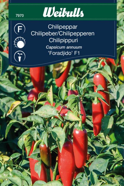 Peber Chili 'Foradjido' F1