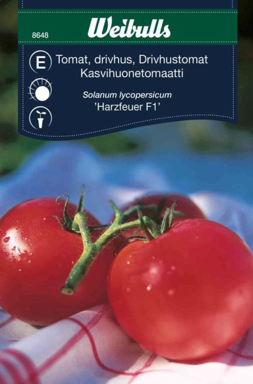 Tomat 'Harzfeuer' F1