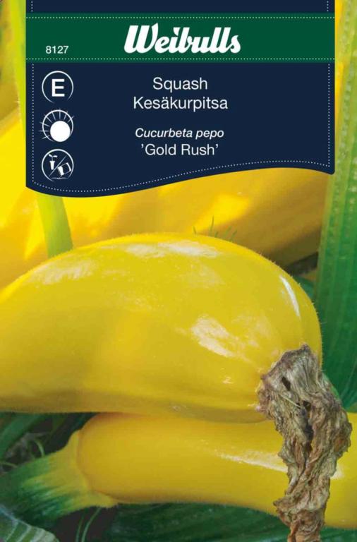 Squash 'Gold Rush' F1
