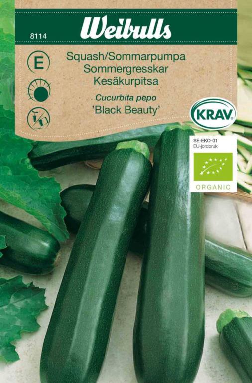 Squash 'Black Beauty' ØKO