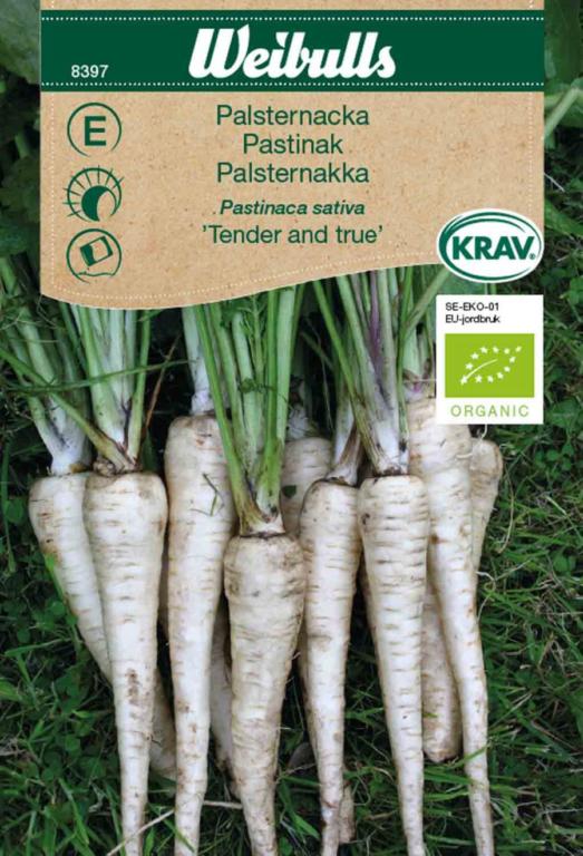Pastinak 'Tender and true' ØKO
