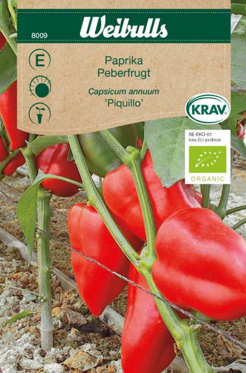 Peberfrugt 'Piquillo' ØKO