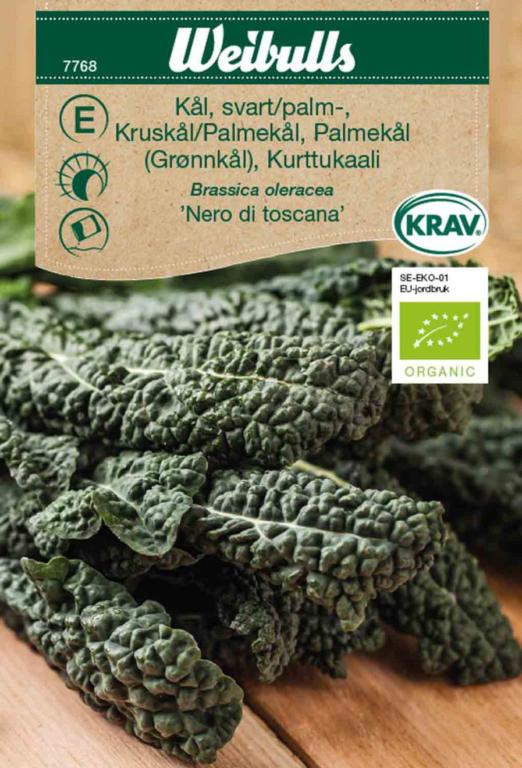 Kål palme 'Nero di Toscana' ØKO