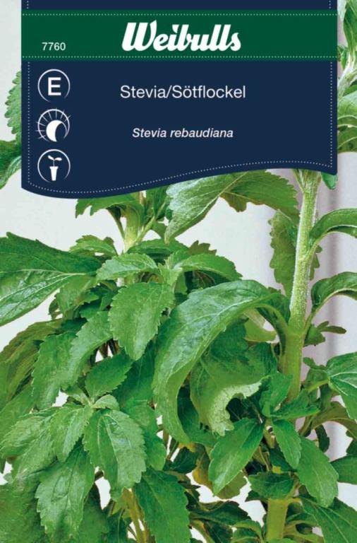 Stevia