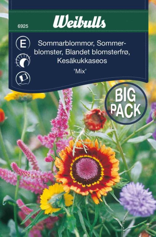 Blandet blomsterfrø 'Mix'