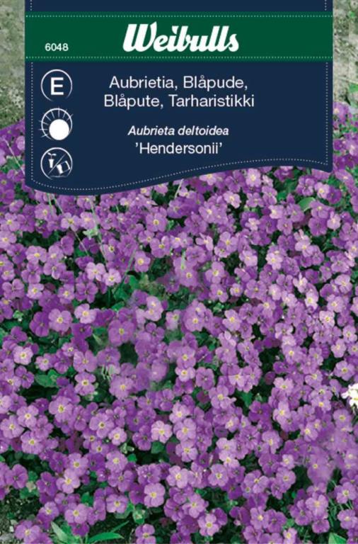 Blåpude 'Hendersonii'