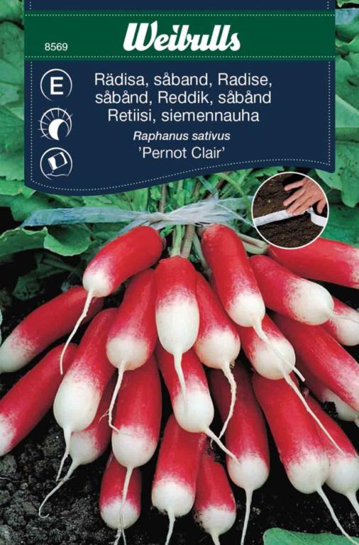 Radise 'Pernot Clai´'