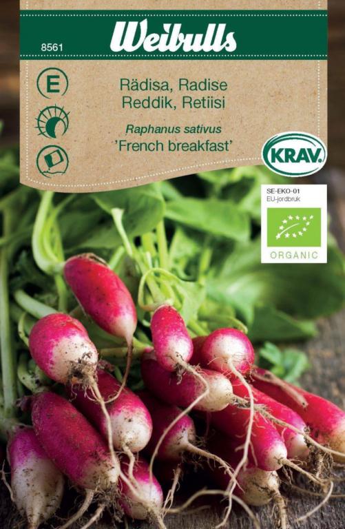 Radise 'French breakfast' ØKO