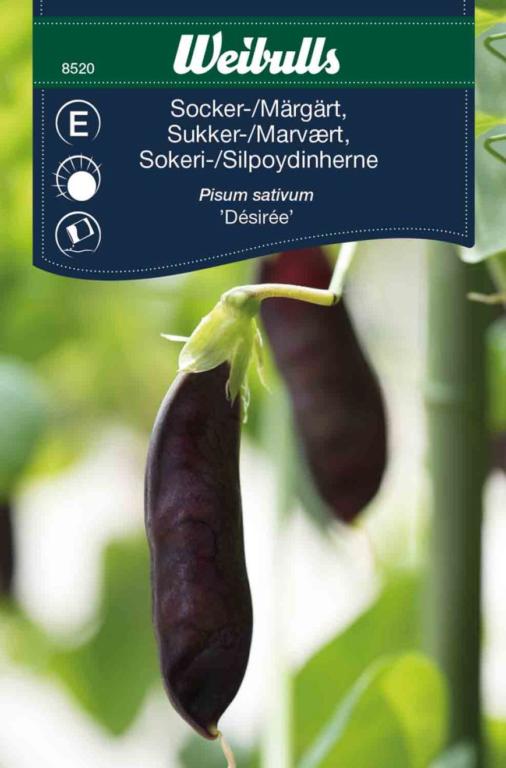 Ært sukker/marvært 'Desirée'