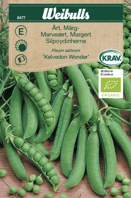Ært marv 'Kelvedon Wonder' KRAV