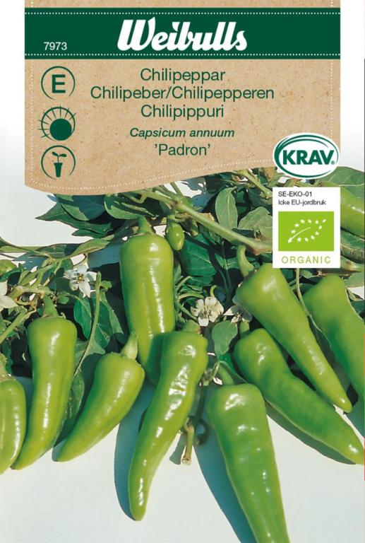 Chilipeber 'Padron' ØKO