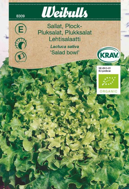 Salat pluk 'Salad bowl' ØKO