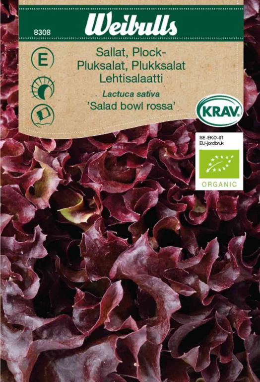 Salat pluk rød 'Salad bowl rossa' ØKO