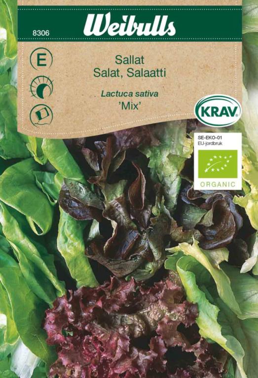 Salat 'Mix' ØKO