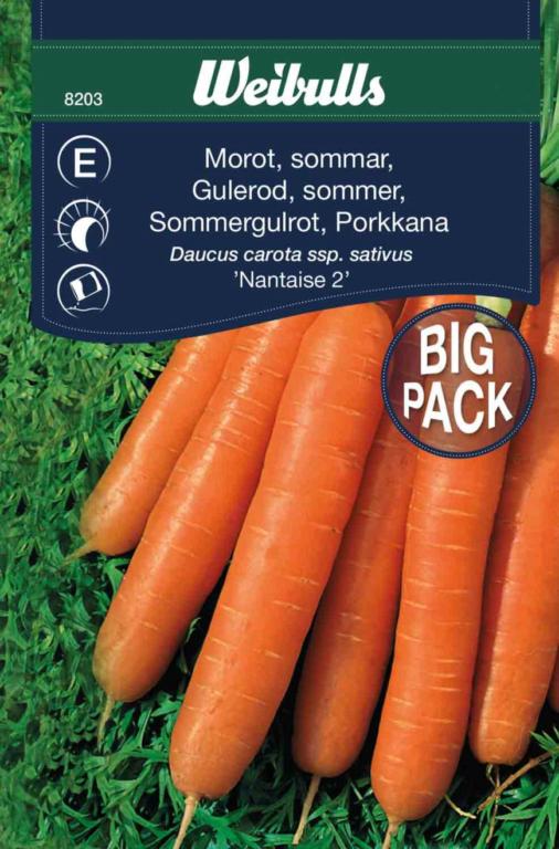 Gulerod sommer 'Nantaise 2'