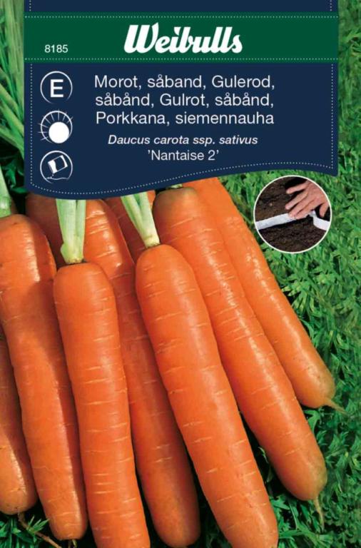 Gulerod såbånd 'Nantaise 2'