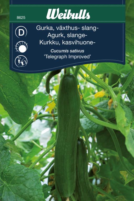 Agurk 'Telegraph Improved'