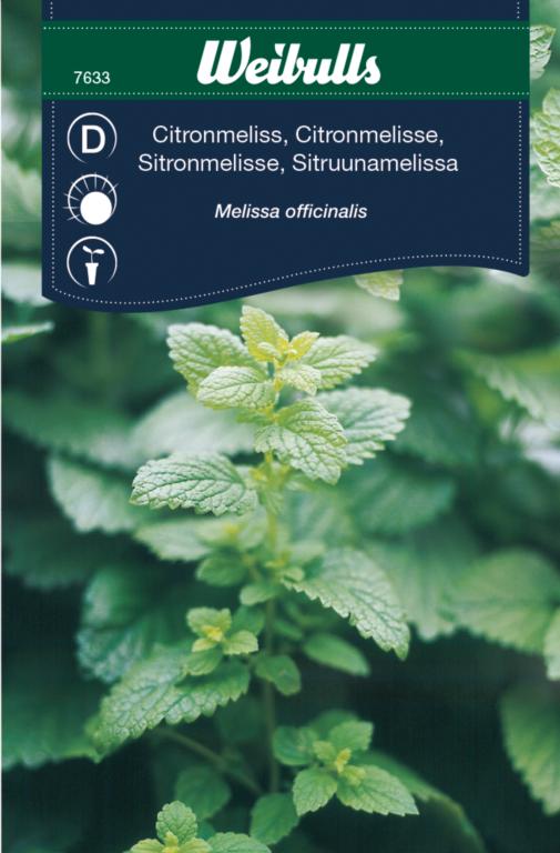 Citronmelisse