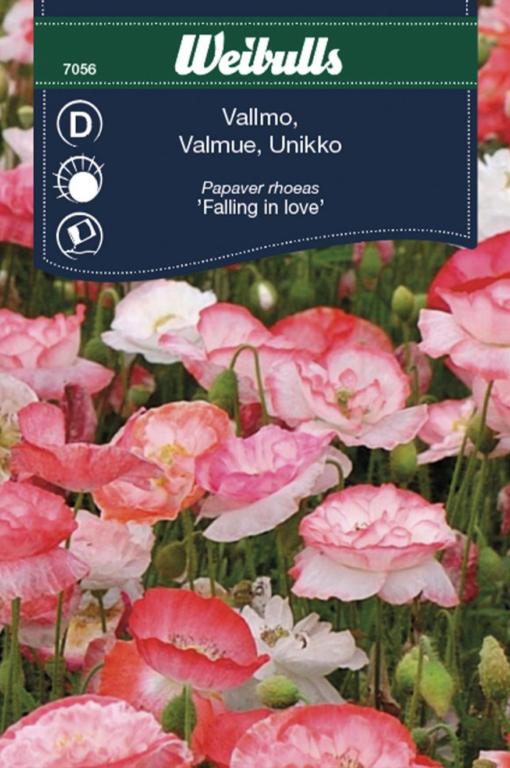 Valmue 'Falling in love'