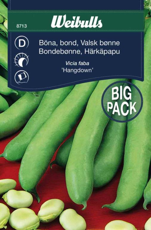 Bønne bånd storportion 'Hangdown'