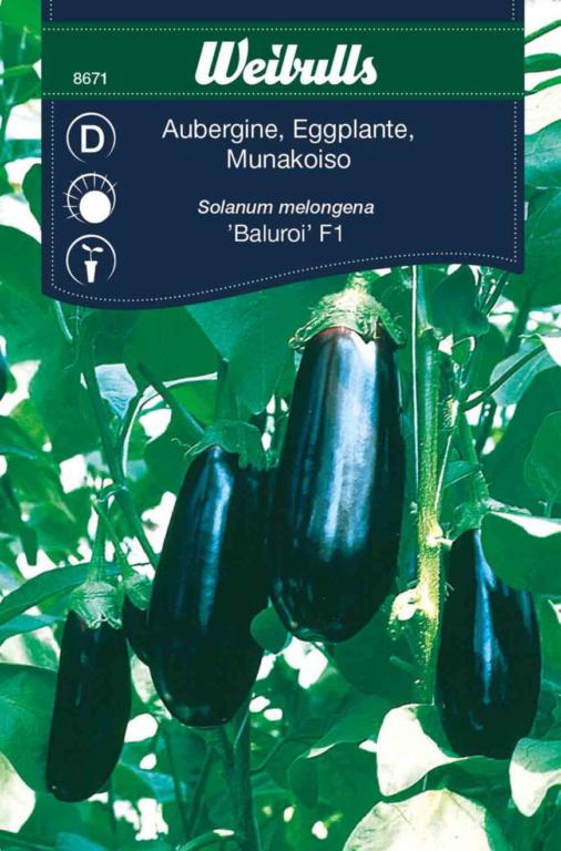 Aubergine 'Baluroi' F1