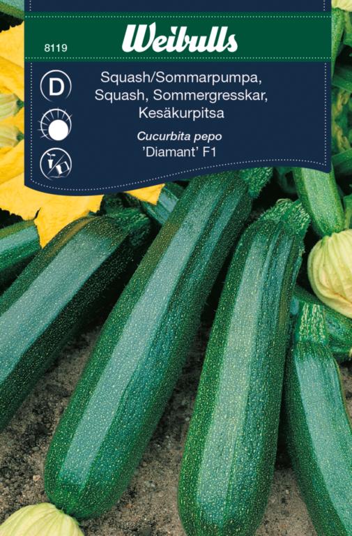 Squash grøn 'Diamant' F1