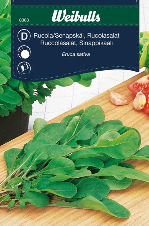 Salat rucola
