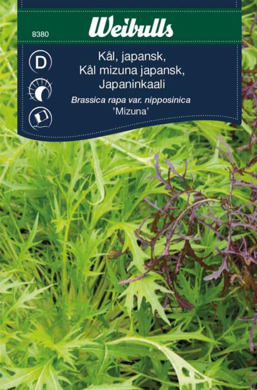 Kål Asiatisk 'Mizuna'