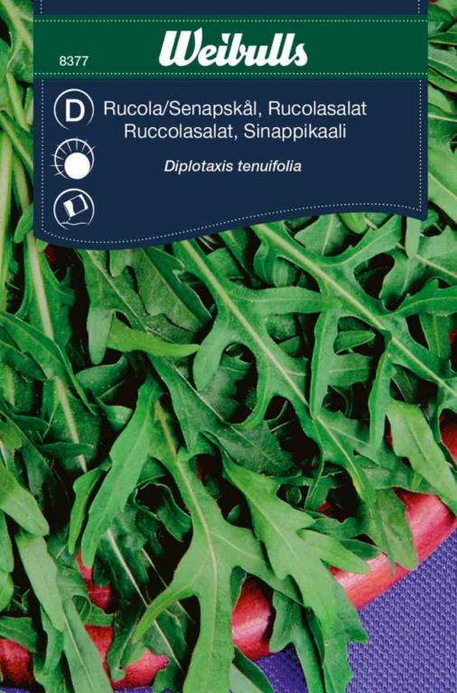 Salat rucola