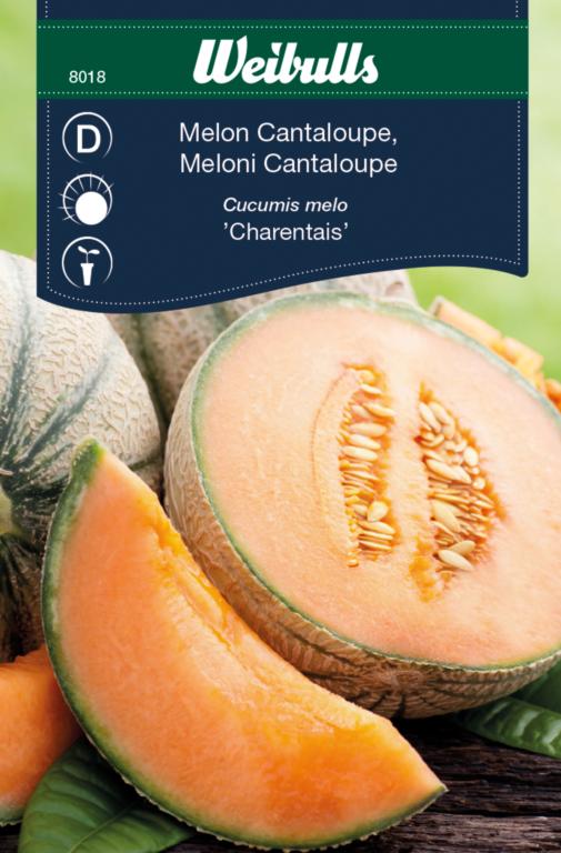 Melon 'Cantaloupe'
