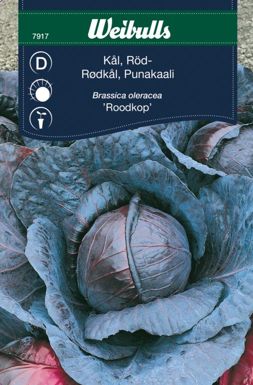 Kål rødkål 'Roodkop'