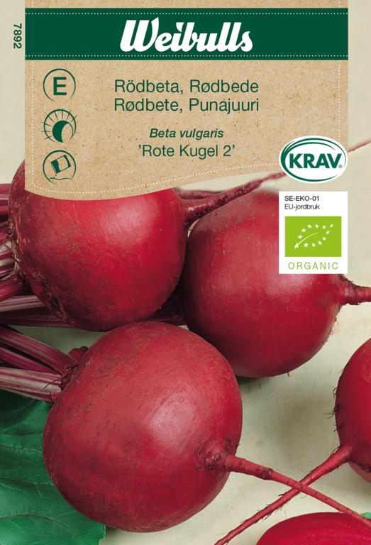 Rødbede 'Rote Kugel 2' ØKO