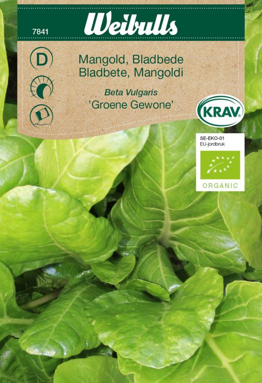 Bladbede 'Groene Gewone' ØKO