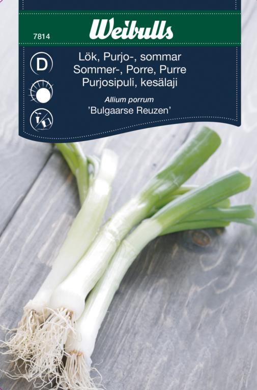 Porre sommer 'Bulgaarse Renzen'