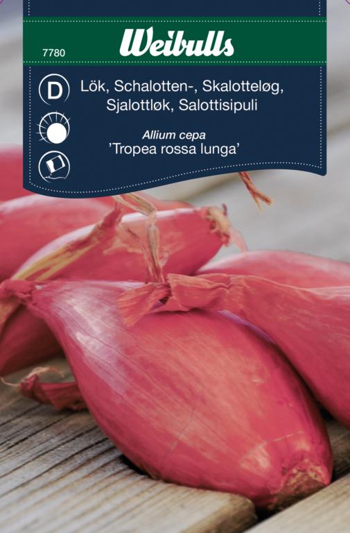 Løg skalotte rød 'Tropea rossa lunga'