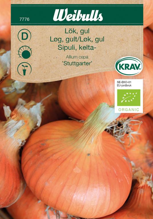 Løg, gult 'Stuttgarter Riesen' ØKO