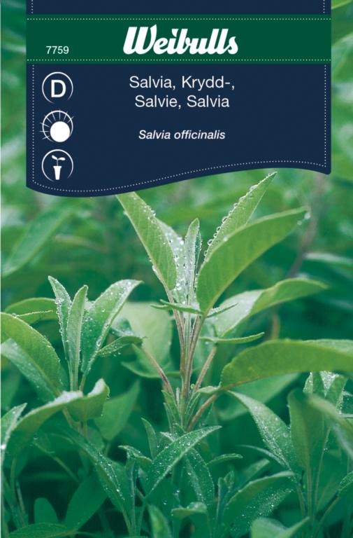 Salvie