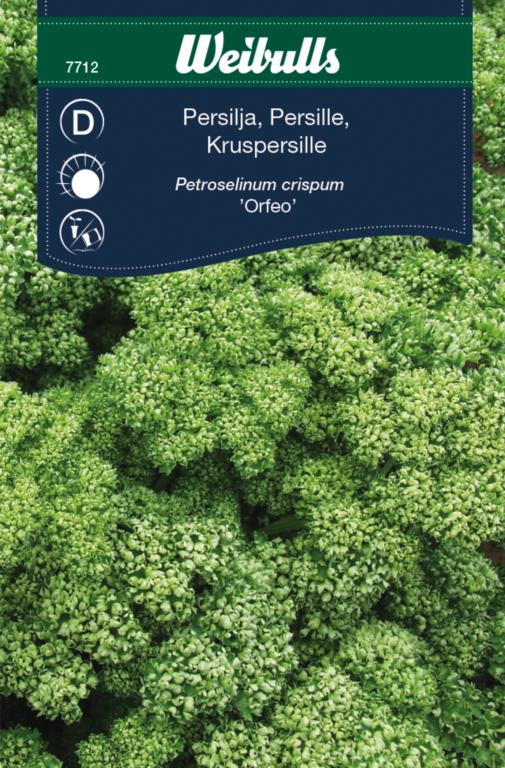 Persille 'Paravert'