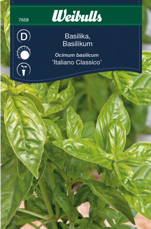 Basilikum 'Italiano Classico'